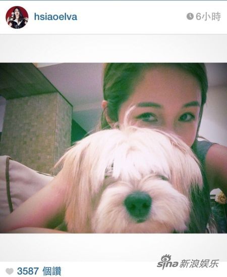 ������ɹ������������