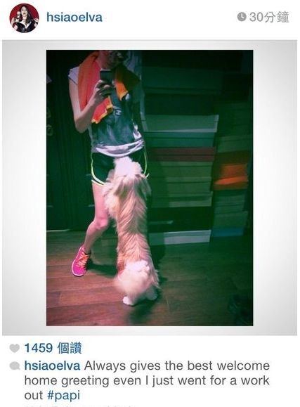 �������˶���ؼ� papi����