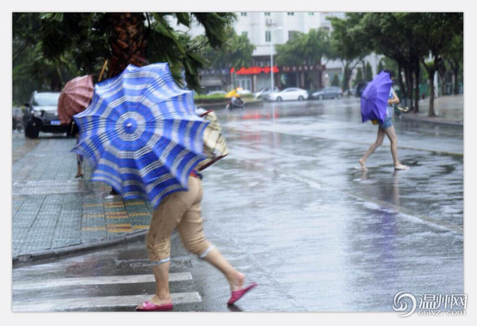 台风"凤凰"渐渐逼近 洞头风大雨大