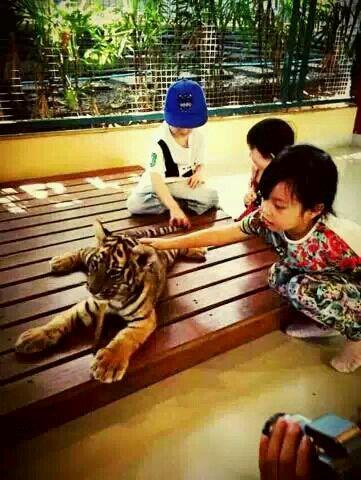 ��ޱɹŮ�������ϻ��� С���±��鵭������