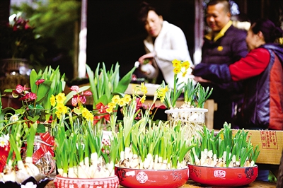 2℃.在景山花鳥市場內,趁著休息前來購花的市民絡繹不絕.本