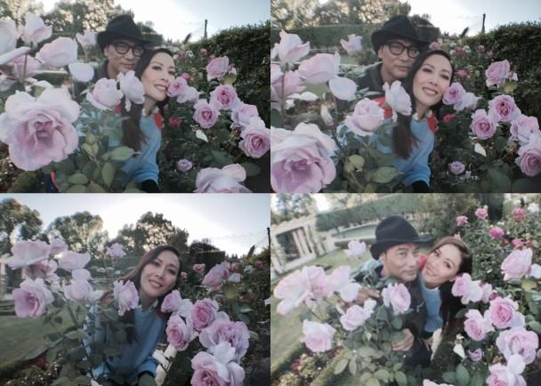 �δﻪ�����ӻ���������ӵ ģ�����޶���17��