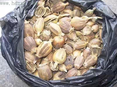 吃鸭脖竟被测出有吸毒嫌疑 宁波两男子怎会中招?