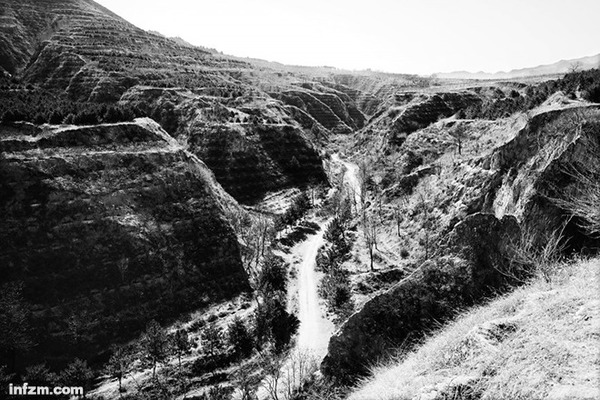 林彪为什么叛变的简单介绍