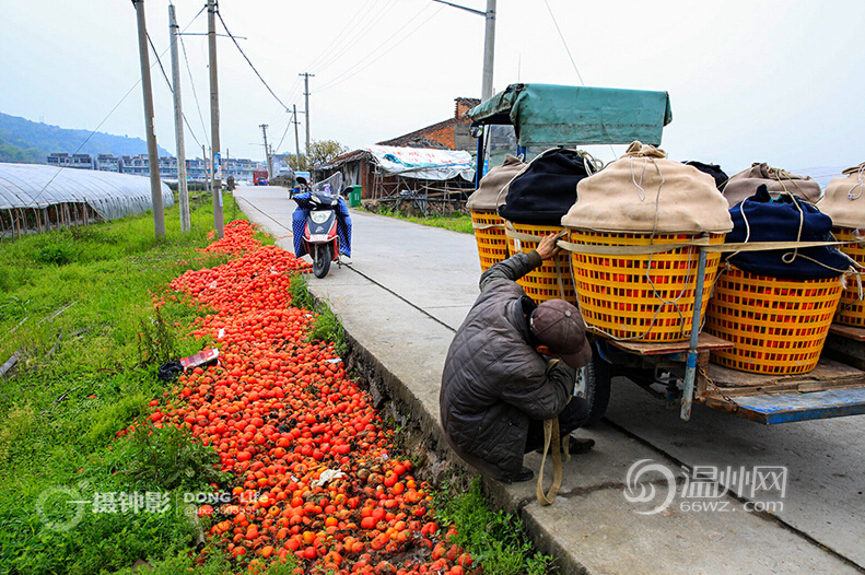 ���۽������Ϸ��Ѽۼ���·�� С����ǿ����֧��