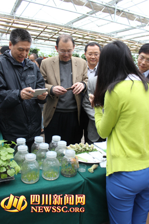 中央党校经济学部副主任,教授潘云良(中),在南天现代农业科技园内