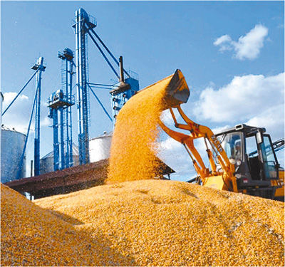 聚焦科学种田助力吉林十一五年年大丰收